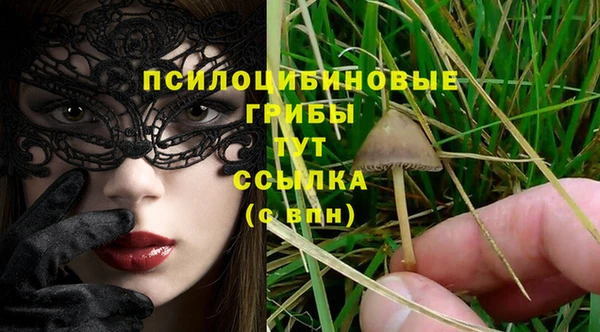 гашик Абдулино