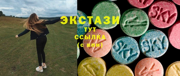 ECSTASY Каменка