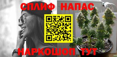 прущие грибы Ирбит