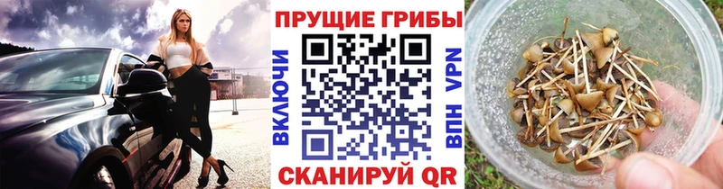 Псилоцибиновые грибы GOLDEN TEACHER  где купить   Шахты 