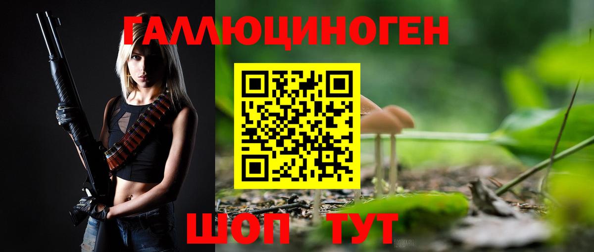 Псилоцибиновые грибы Psilocybine cubensis Шахты